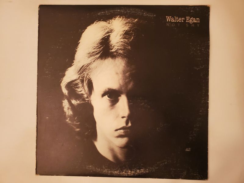 Walter Egan Not Shy vinyl record